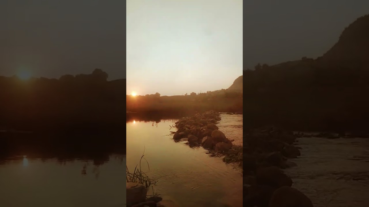 sidhi narkoi