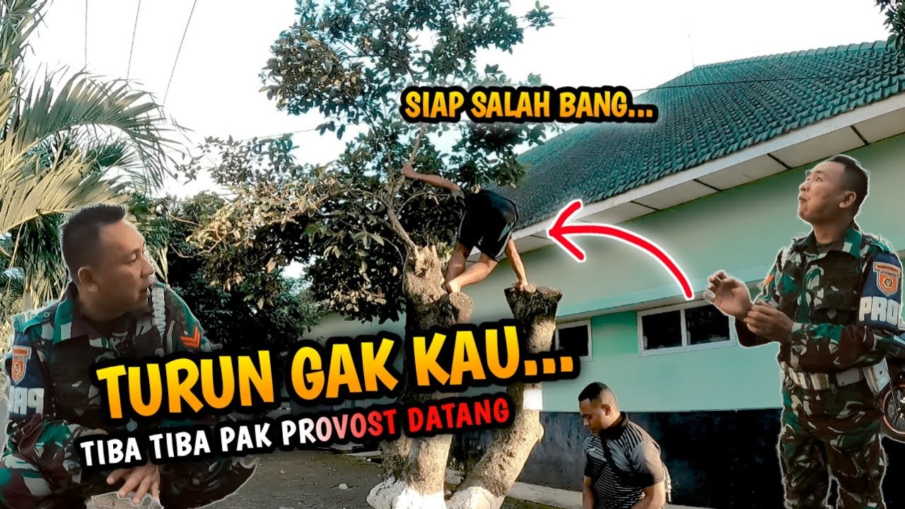 PAK PROVOST INI MARAH MARAH❗ PANEN RAMBUTAN BINJAI DIASRAMA - CAKRA