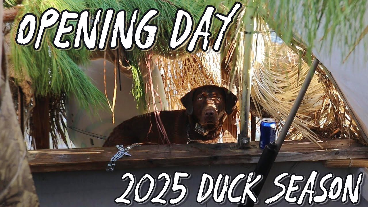 Opening Day of Duck Season 2025 | NC Open Water Duck Hunting