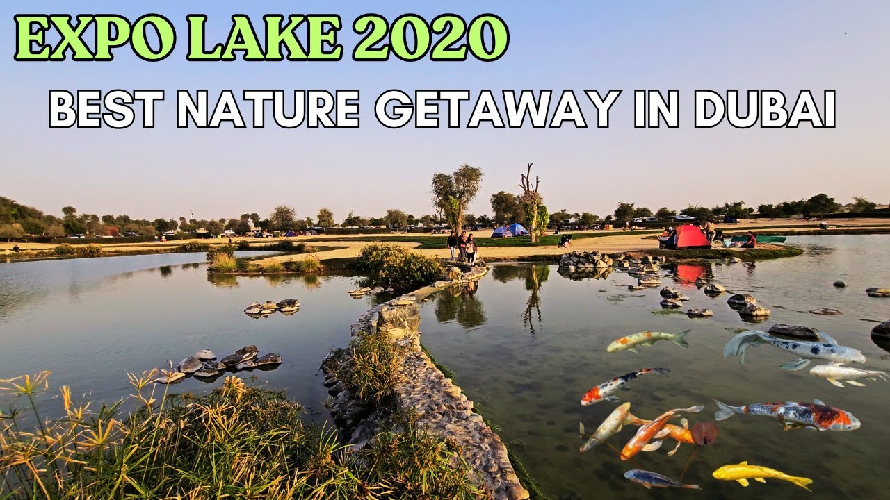 Best Nature getaway in Al Qudra UAE EXPO 2020 LAKE | HIDDEN GEM IN DUBAI | CAMPING 🏕 🚶&zwj;♂️🚗 