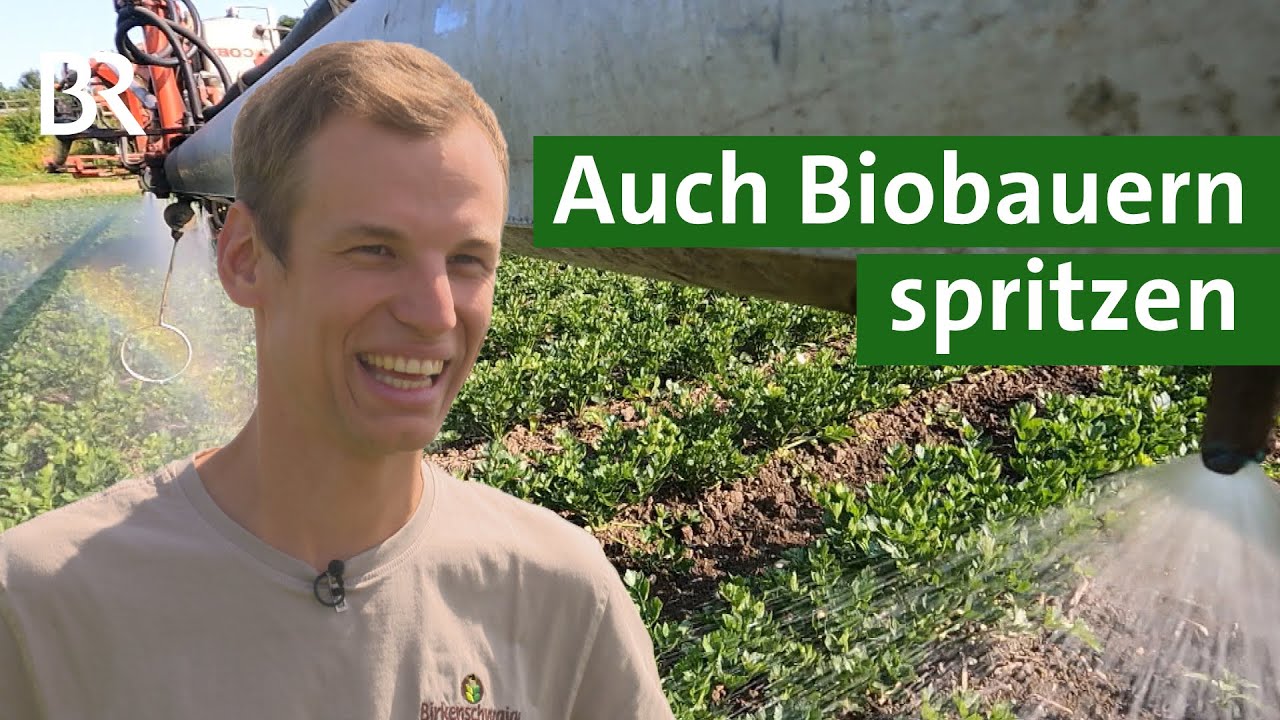 Ökologischer Landbau: Bio Landwirt macht Pflanzenschutz – mit Kupfer spritzen | Unser Land | BR