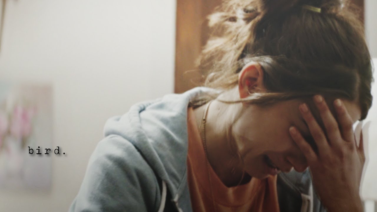 olivia grey | bird
