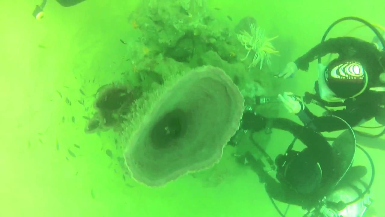 Fun dive at Pulau Sembilan