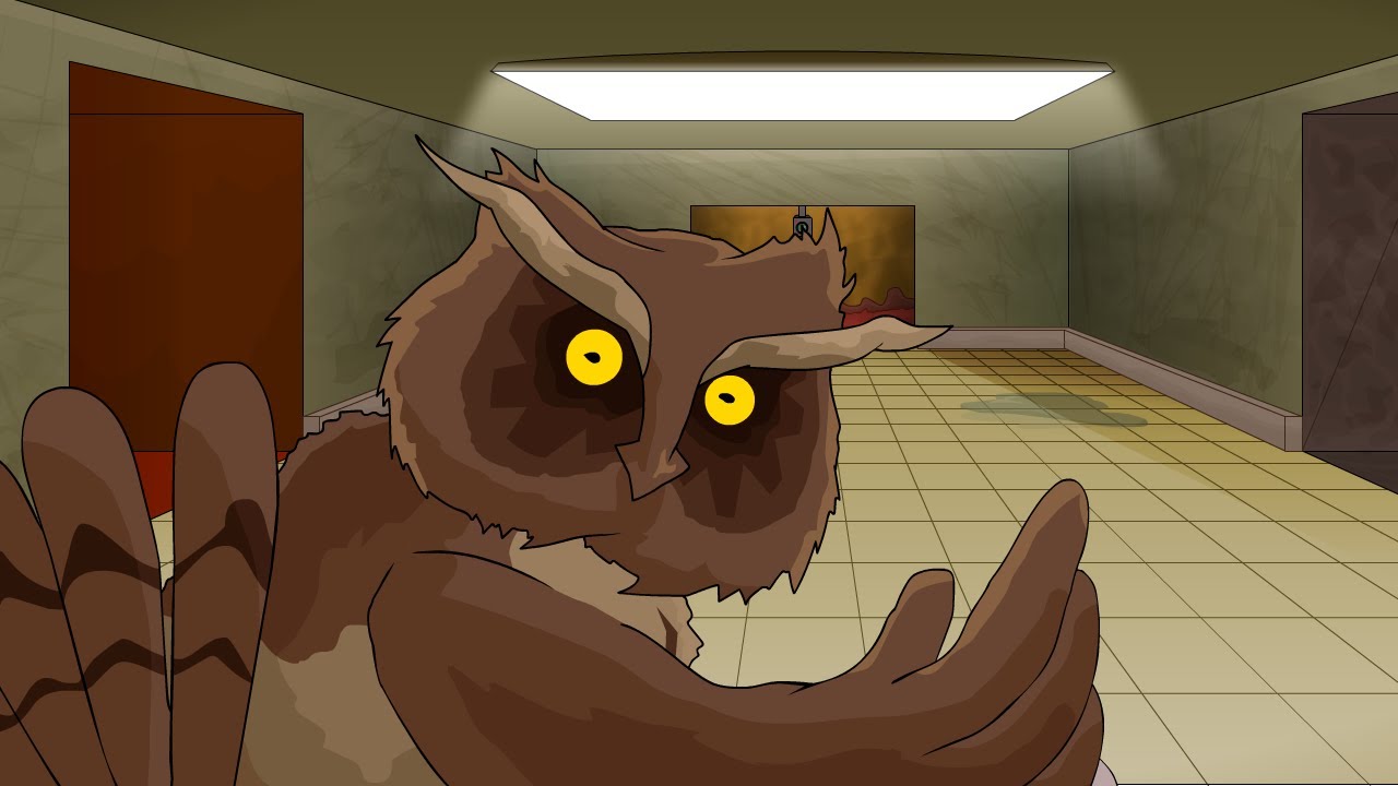 Owl POV