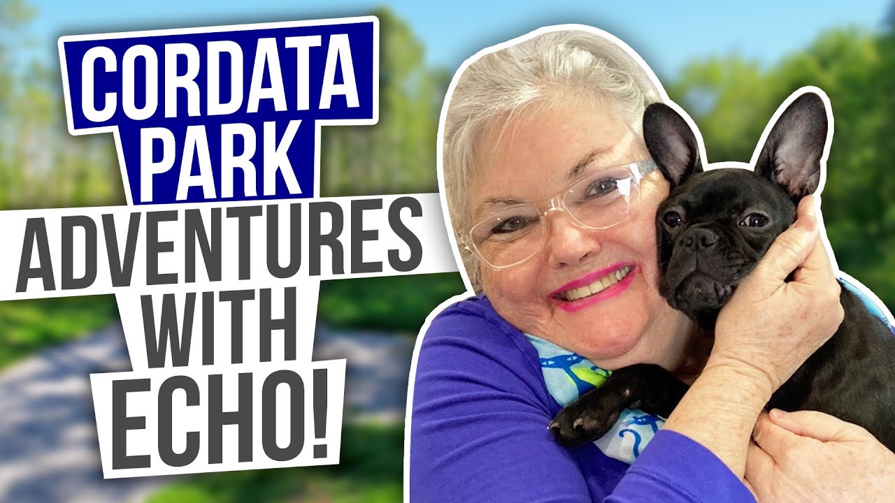 Cordata Park - City of Bellingham || Tourist Attractions in Washington State | Mama Meta Adventures