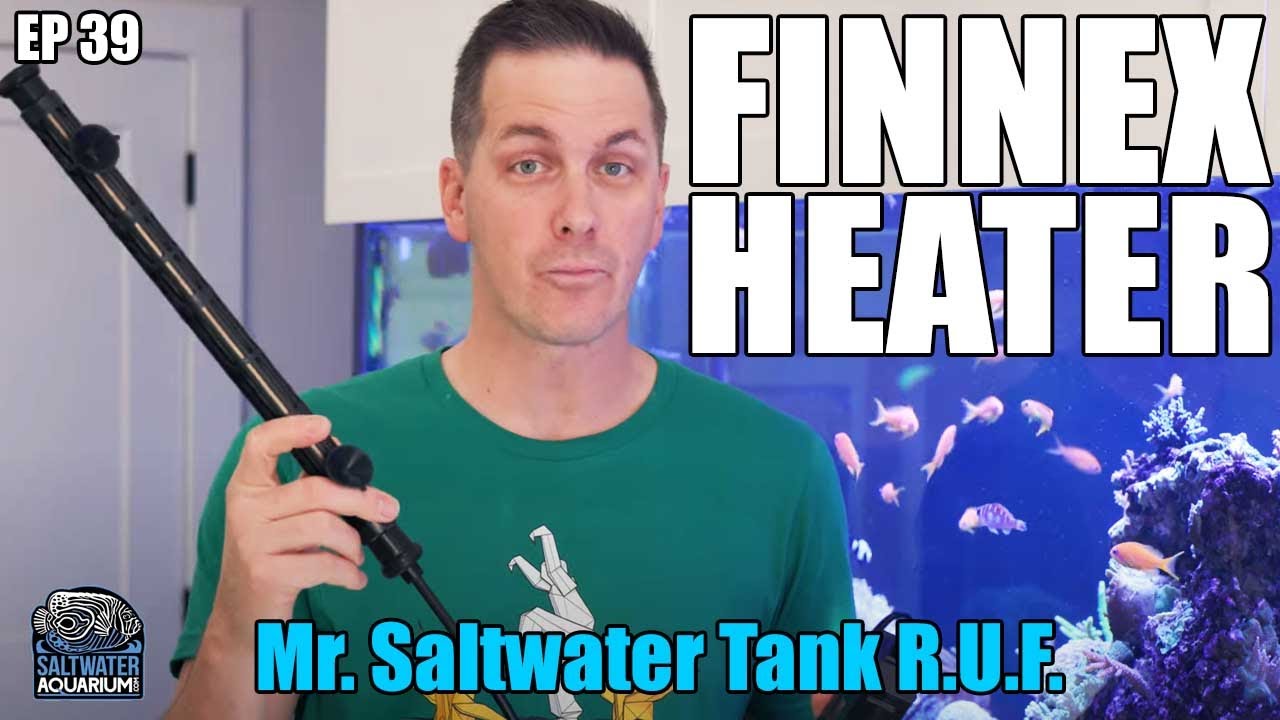 FINNEX STE Digital Aquarium Heater - Mr. Saltwater Tank - Raw, Uncut, and First Impressions
