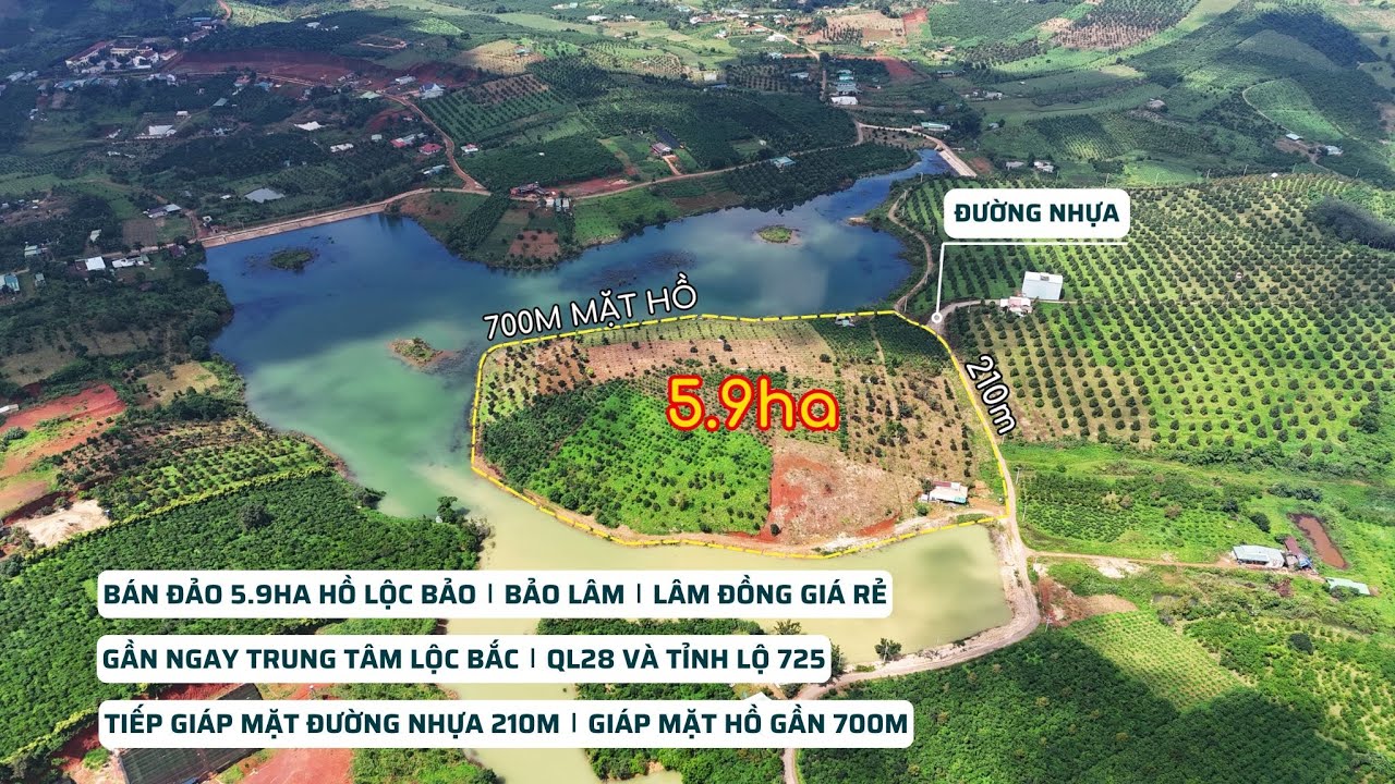 Bán đảo 5.9ha Hồ Lộc Bảo, Bảo Lâm, Lâm Đồng giá rẻ, gần QL28 và tỉnh lộ 725 (Đã bán)