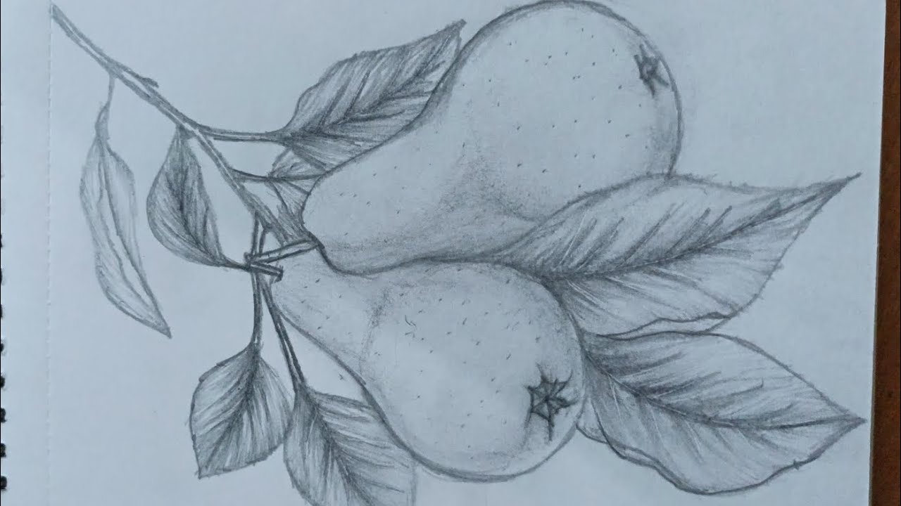 Pear 🍐 drawing #youtubevideo #art #viral 