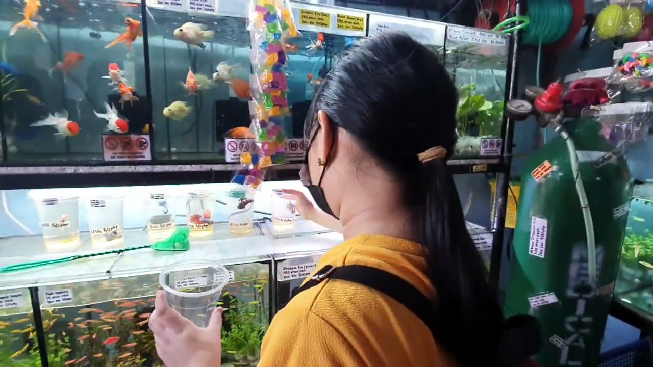 Beta fish 17Nov2022