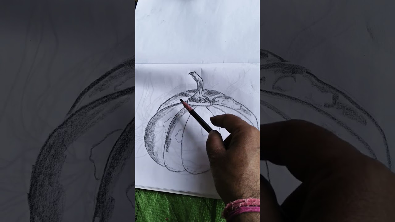 #how to draw pencil sketch gourd 