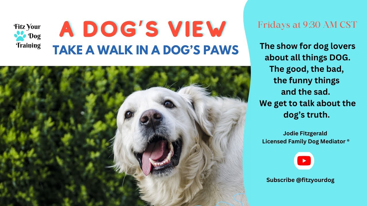 Survive and Thrive: Why Dogs Do What They Do
