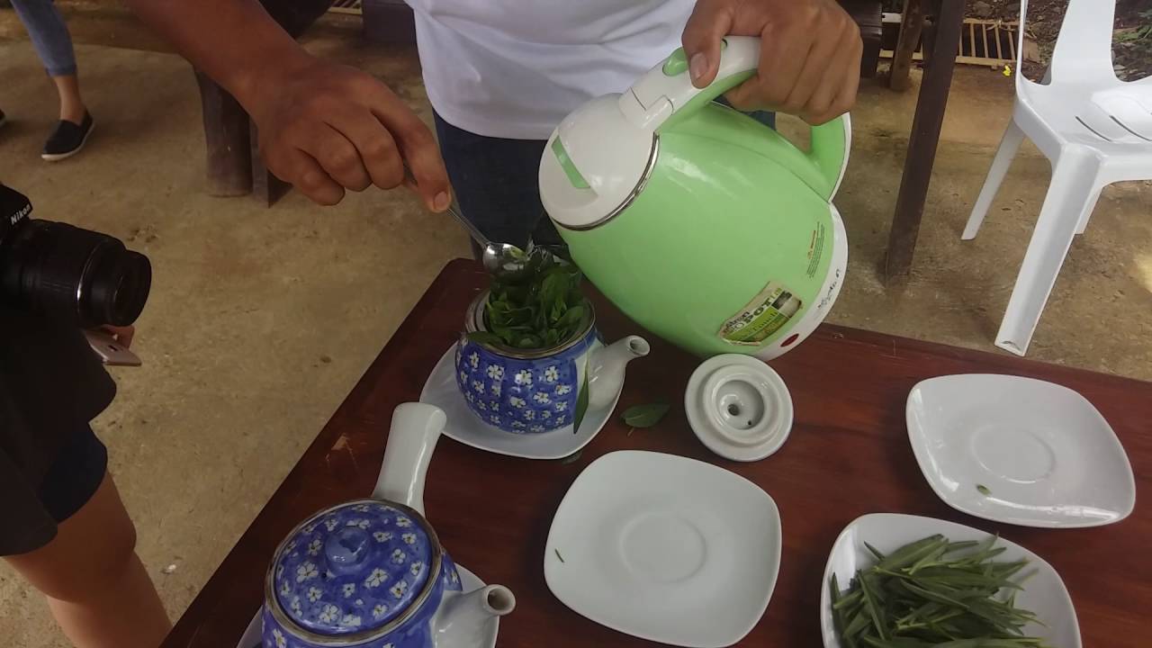 COSTALES NATURE FARMS - Tea Making (Spearmint-Taragon Tea)