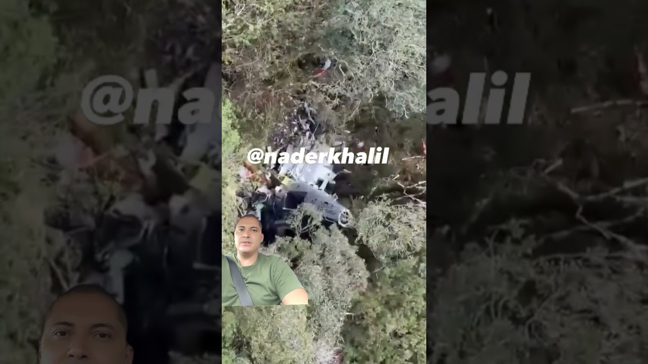 😭 HELIC&Oacute;PTERO ENCONTRADO TODOS SEM VIDA