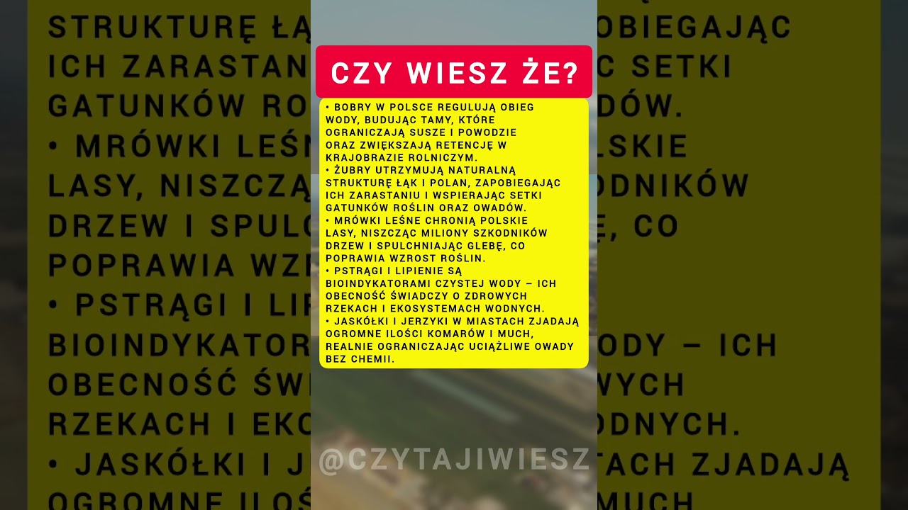 5 zwierząt, które codziennie pracują dla Polski - choć ich nie zauważasz