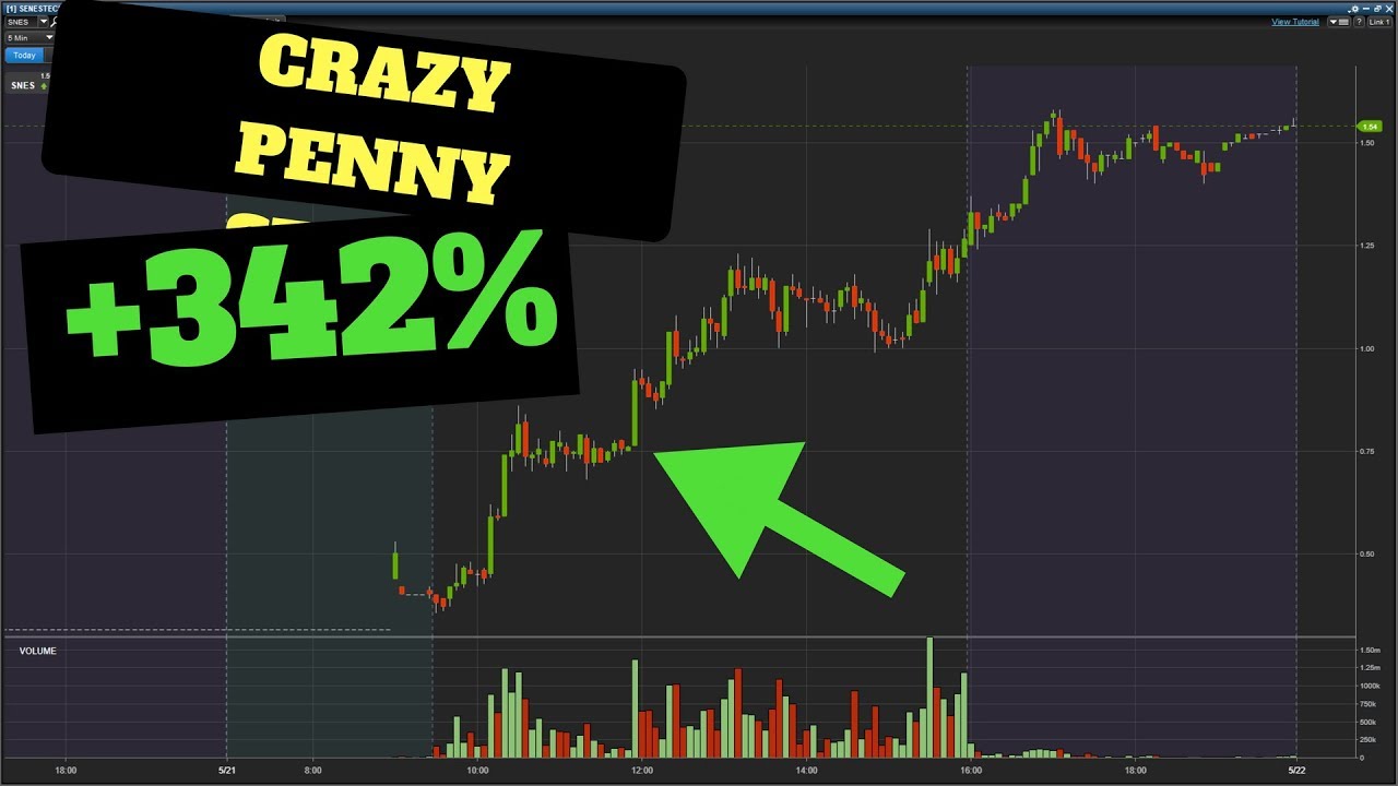 CRAZY 350% PENNY STOCK SPIKE!