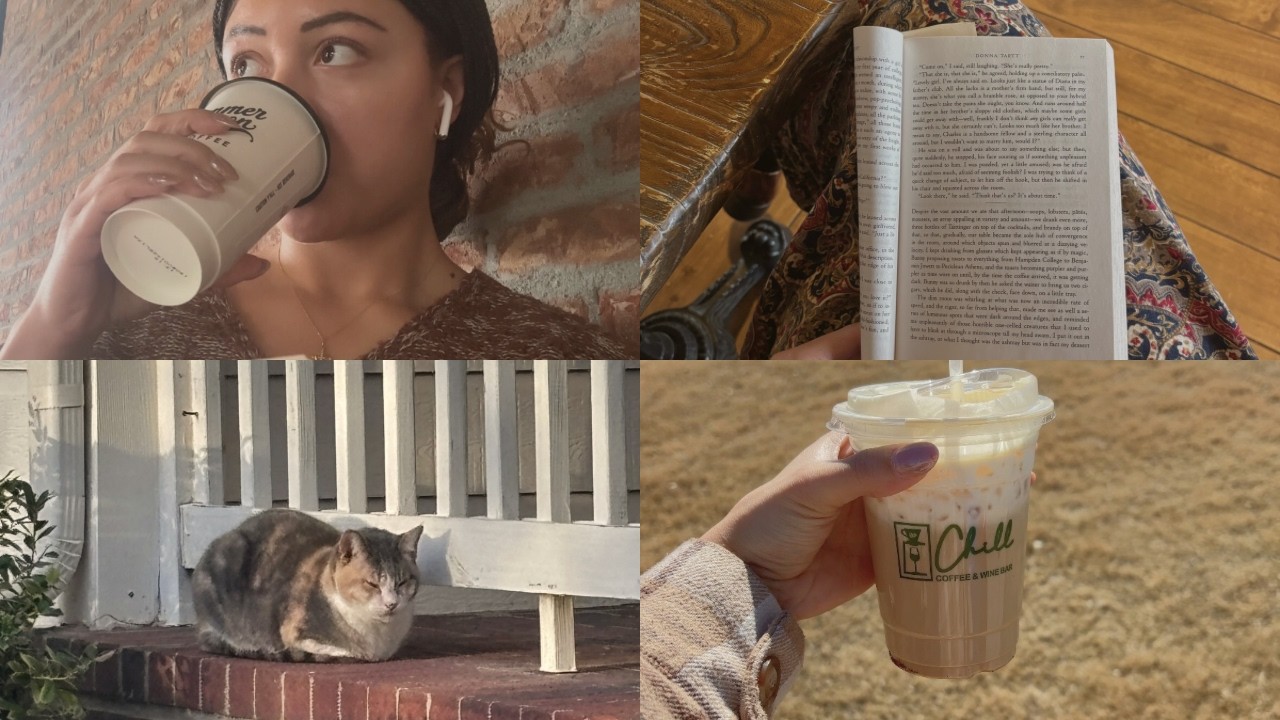 modern classics, nightly skincare routine, and apartment refresh