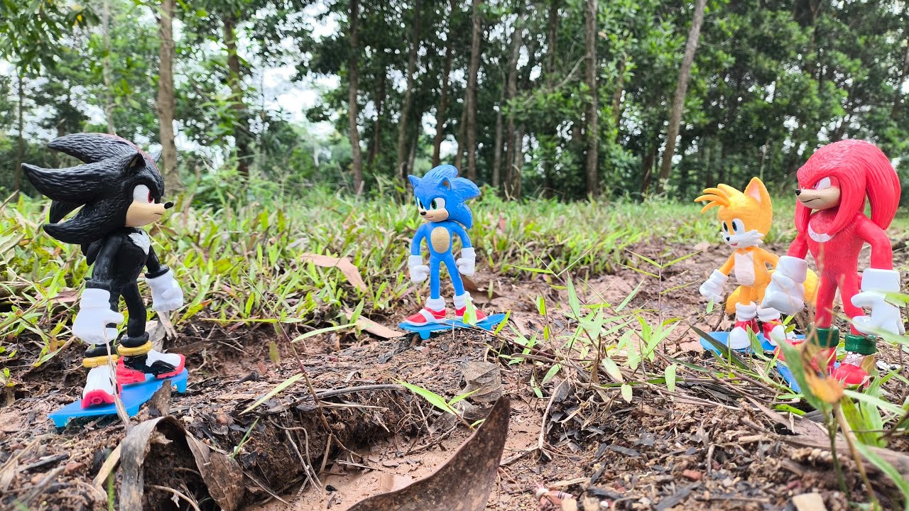 Sonic and Friend/Sonic Shadow/Were Hog/Knuckles/Metal Sonic/Sonic Hedgehog/Tails/Super Shadow/Eggman