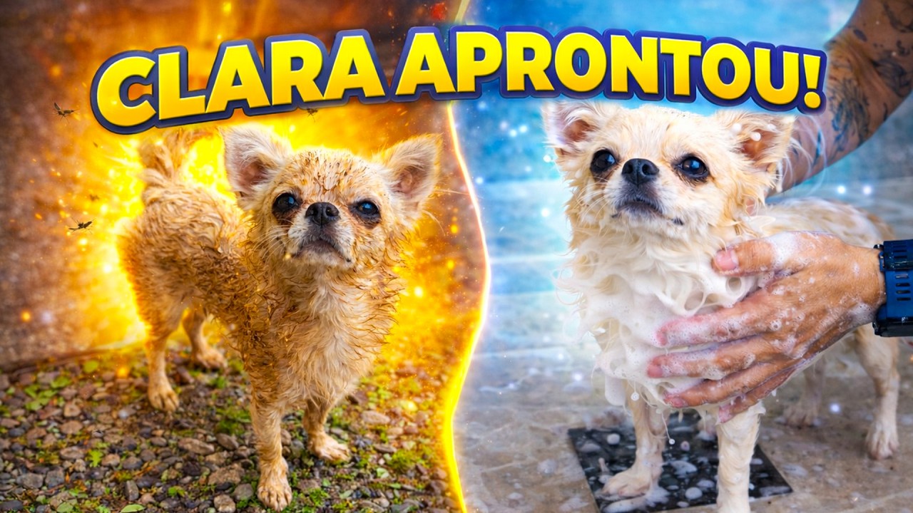 NOSSO DIA TERMINOU EM BANHO TROPICAL! 💦✨