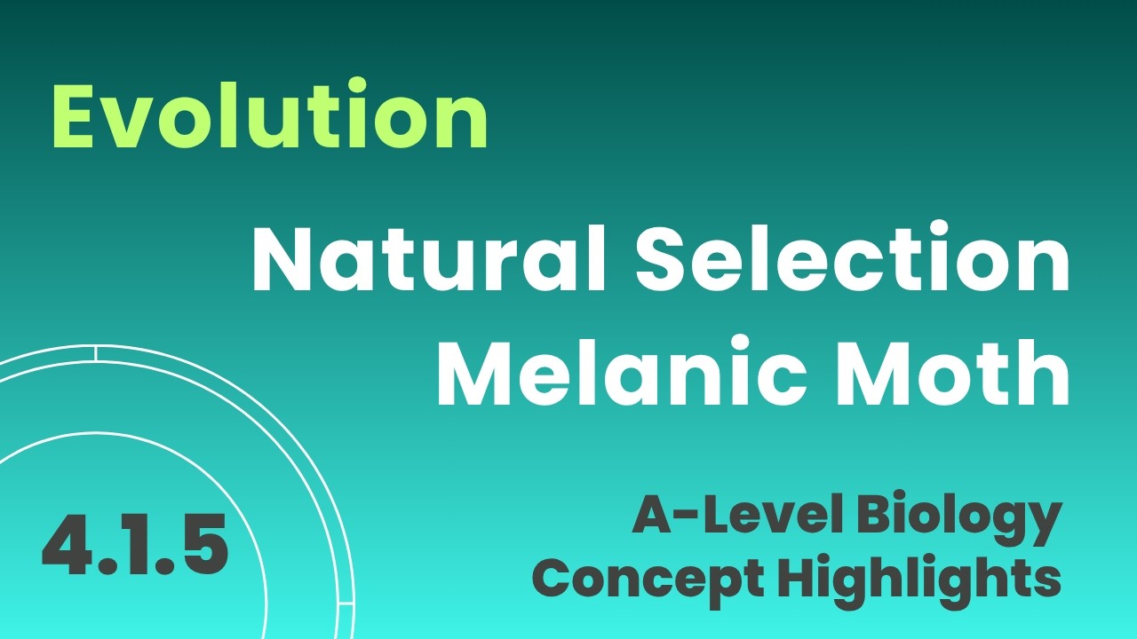4.105 Selekcja naturalna ćmy Betularia melaniczna #biologia #ewolucja