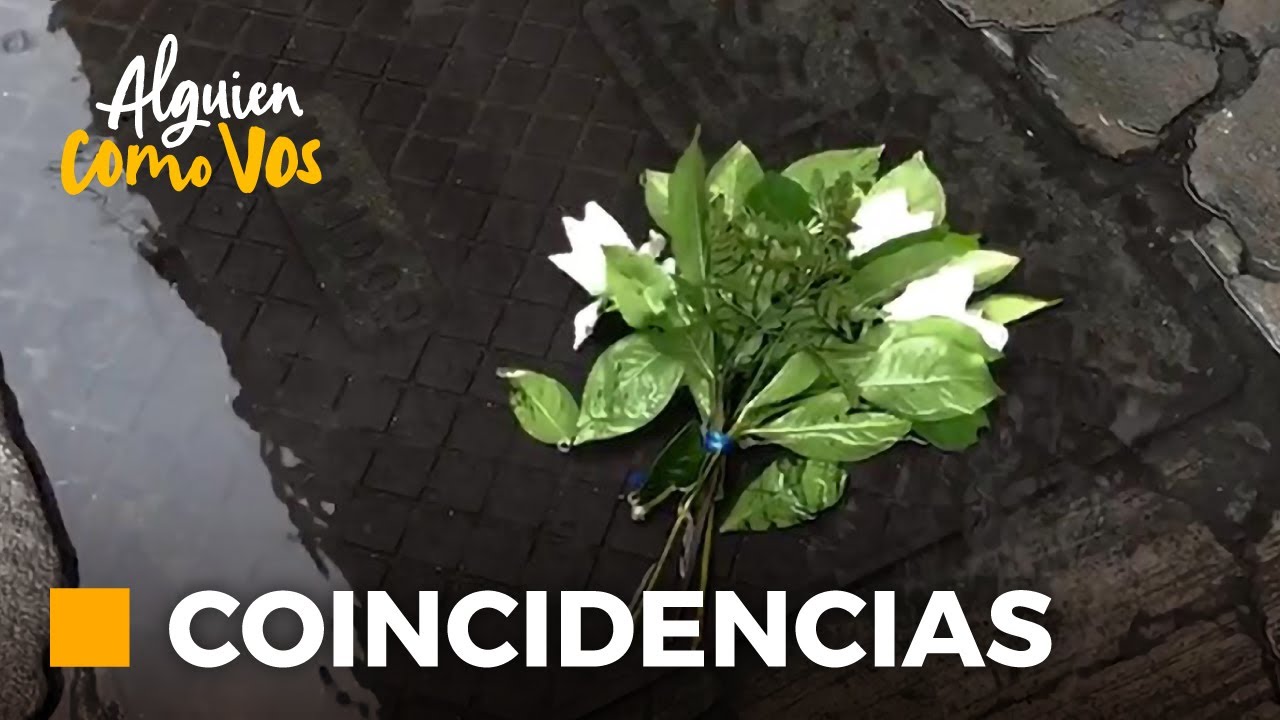 Mauricio Dayub - Coincidencias