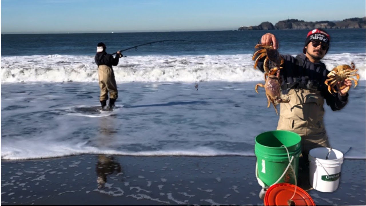 Crab Snaring @Baker Beach|Dungeness Crab
