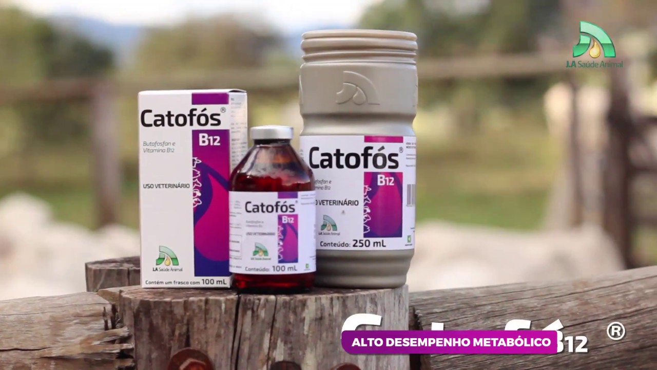 Catofós B12