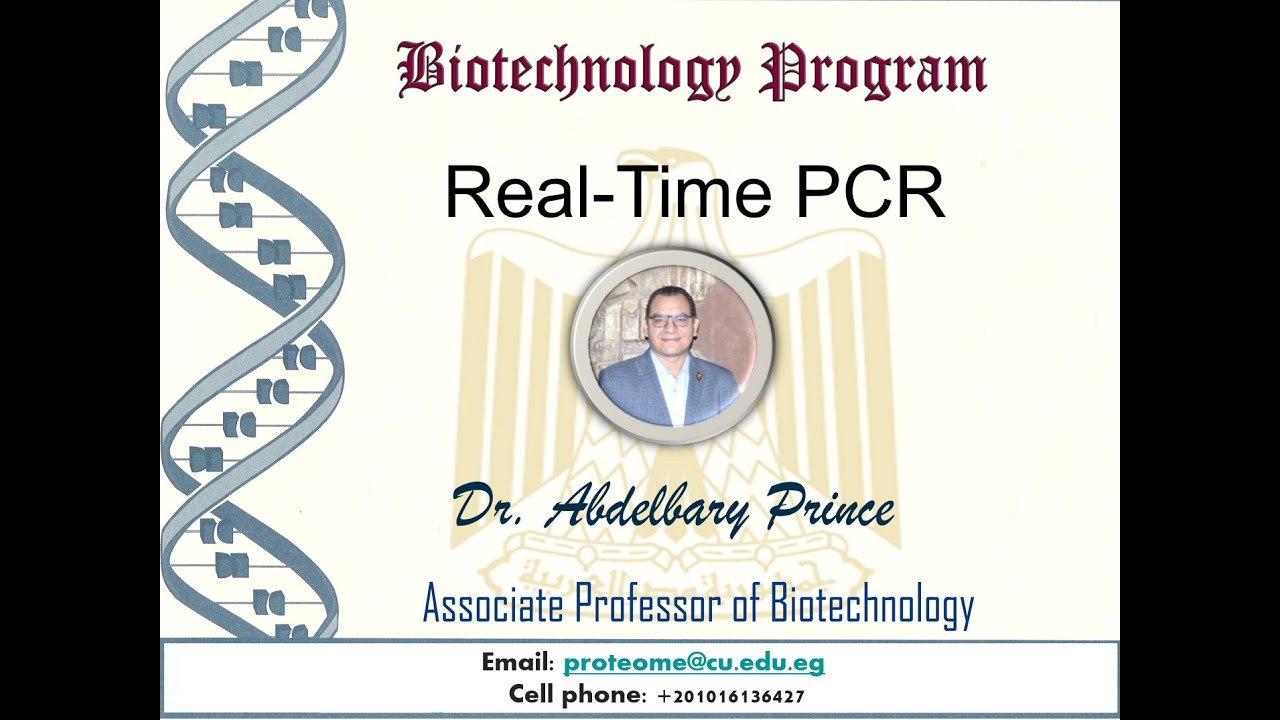 Real Time PCR Lecture Part1 #Biotechnology