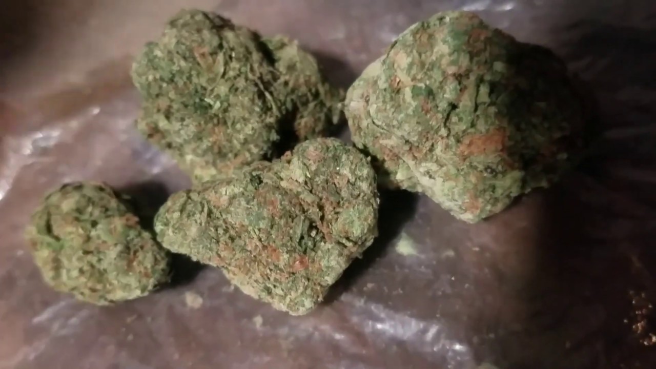 Fumando la Mejor Marihuana de Tijuana pura mota medicinal, Dr. Cannabis💚🔞