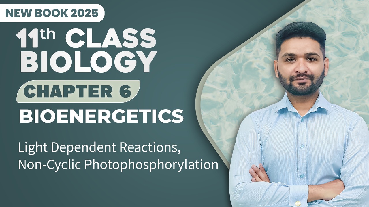 11th Class Biology Chapter 6 | Light Dependent Reactions, Non-Cyclic Photophosphorylation