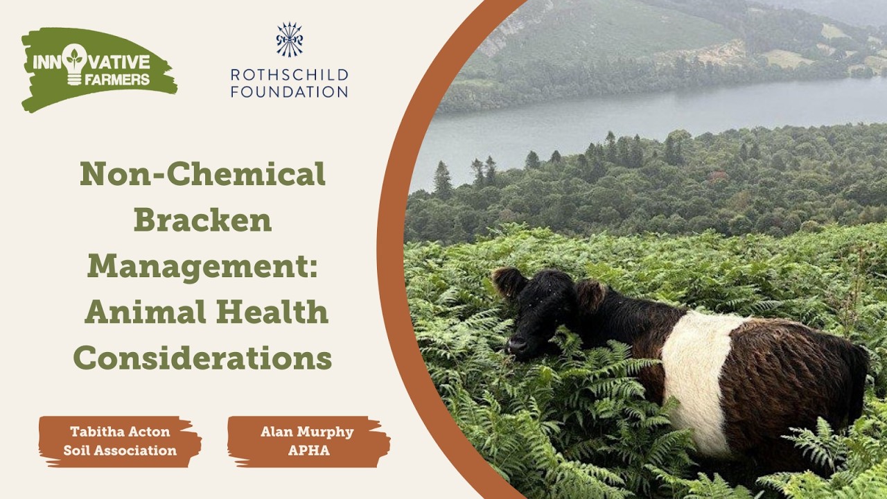 Non Chemical Bracken Management - Animal Health Considerations Webinar