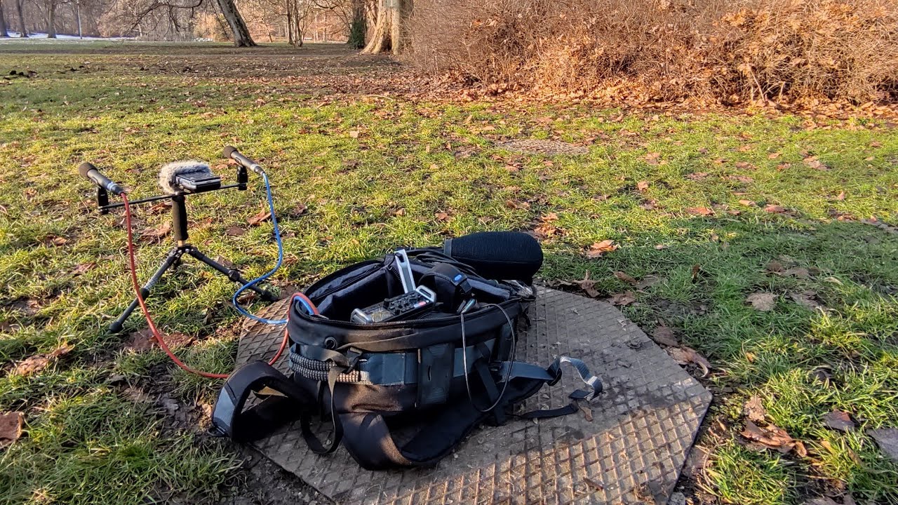P​ark birds atmo with city background noise Zoom f4 and Audio Technica 4022 AB configuration.