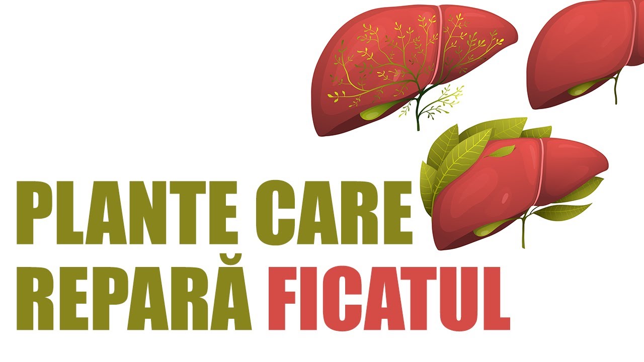 Cele mai bune plante pentru detoxifierea și regenerarea ficatului