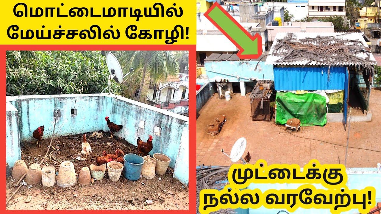 மொட்டை மாடியில் 