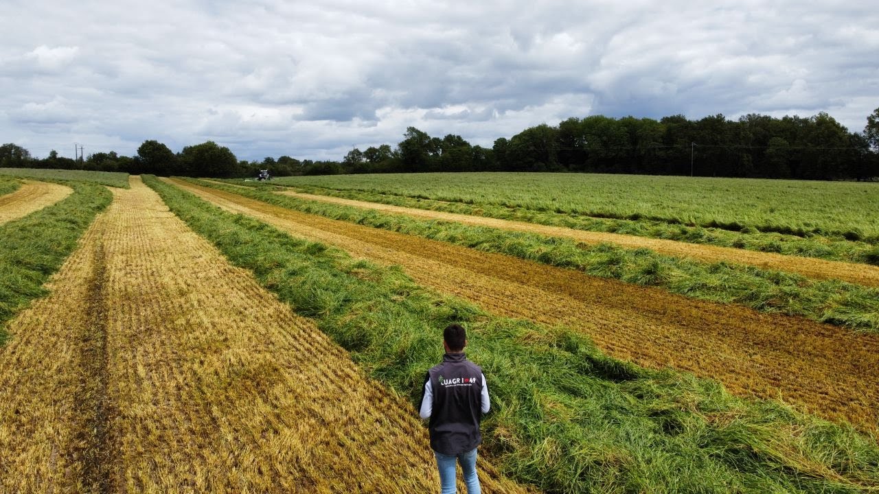 Fauche pour ensilage en 9,40 M | SAMASZ | VALTRA