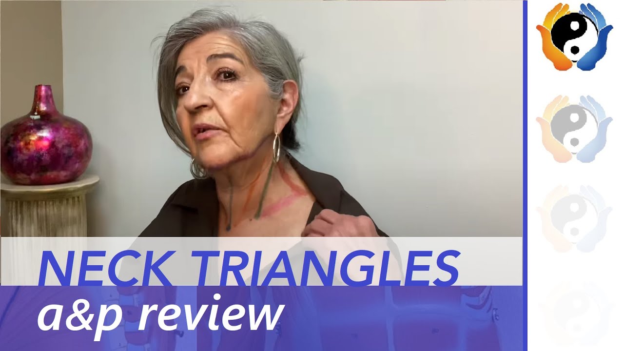 Neck Triangles: Anterior and Posterior