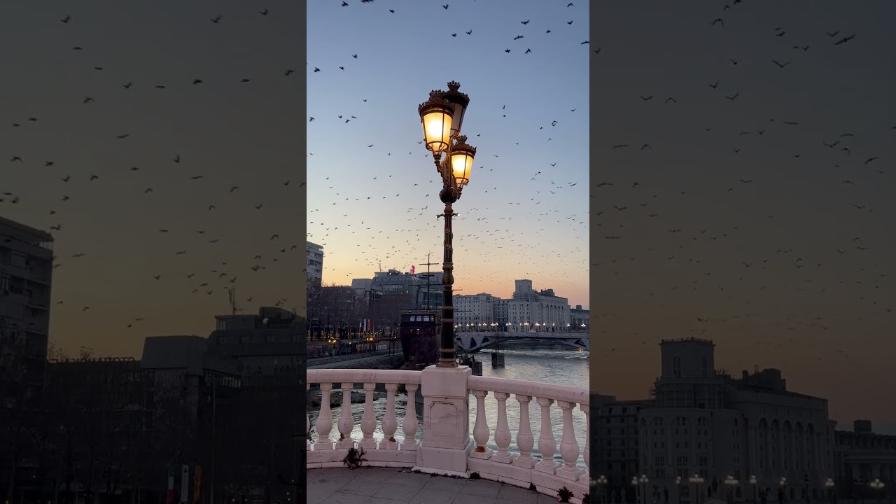 Skopje - Macedonia #summer #city #nature #birds #life #beautiful #balkan #love #videos #river