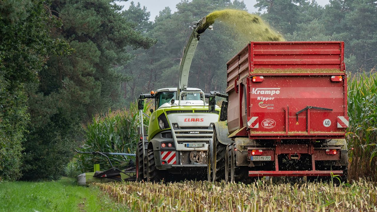 Mais 2023 / Silo fahren / Claas Jaguar / Vering Biogas / Maize silage
