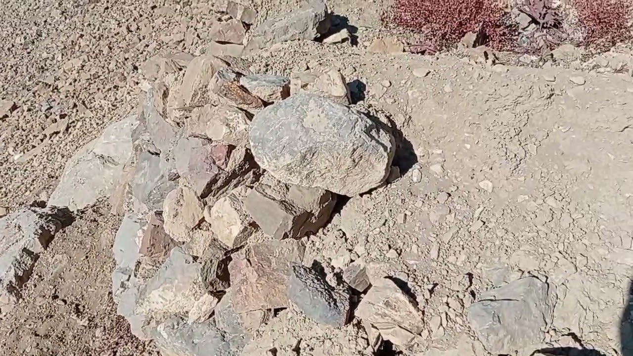 فیلم جذاب و دیدنی تا اخر نگاه کنید لطفاً لایک یاد تان نرود 