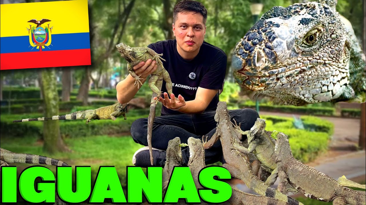 Está es la realidad del parque de IGUANAS de Ecuador Guayaquil 🇪🇨