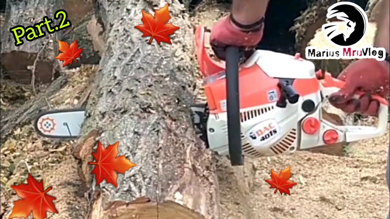 Ep.48/2022 Drujba Ruris DAC 401S   in actiune Part.2 ✔Chainsaw  Ruris DAC 401S in action Part.2