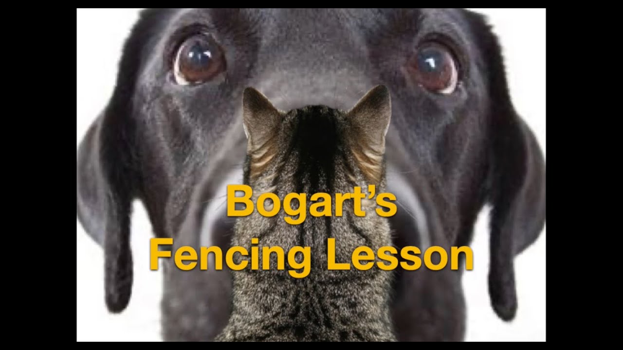 The Law of Conservation of Combat