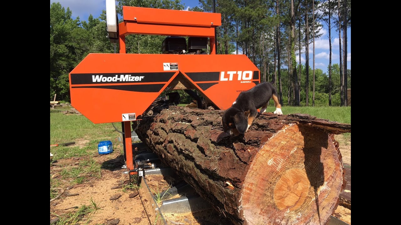 Milling a giant pine log in realtime on the Wood Mizer LT10!