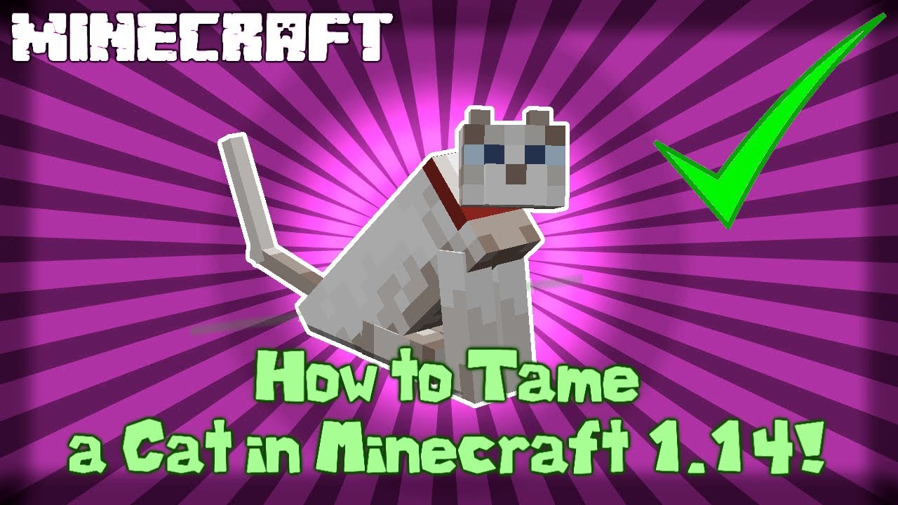 How to Tame a Cat in Minecraft! 1.14