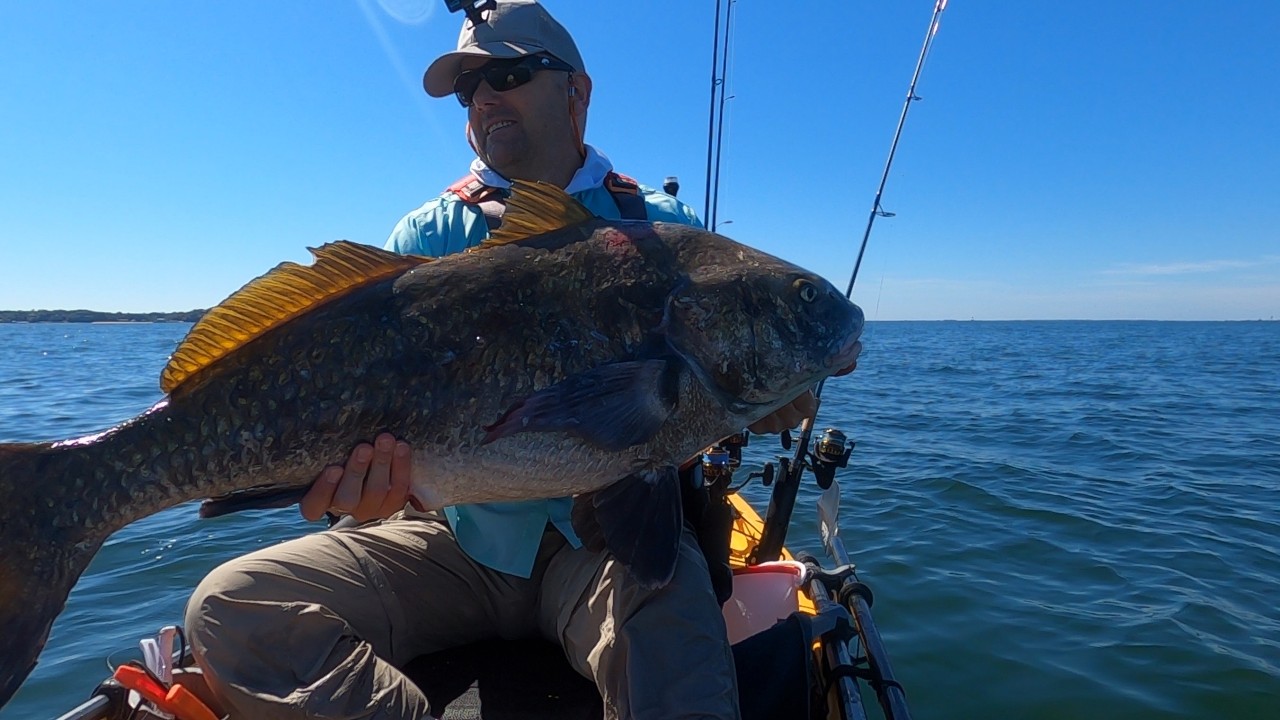 I'm Back After Nearly 2 Years With a PB Black Drum.