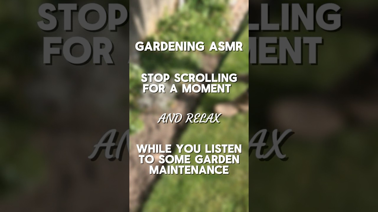 Gardening ASMR: Stop Scrolling and Relax - Ed's Garden Services