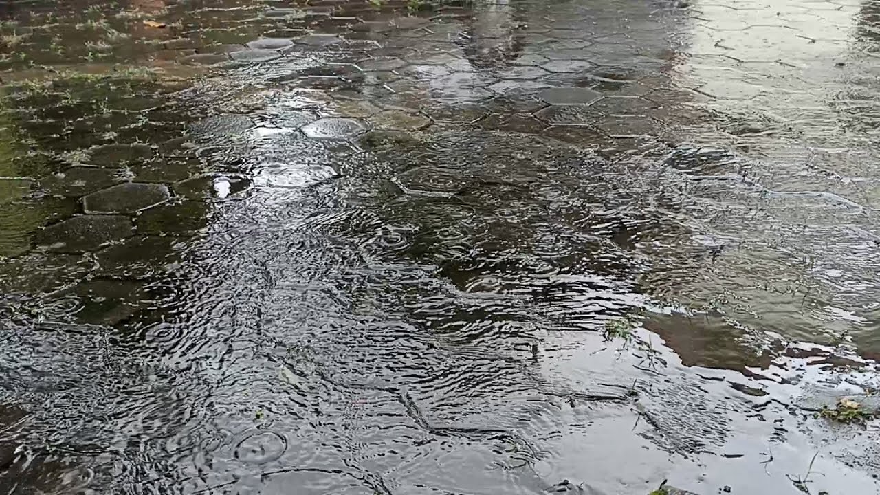 RELAXING RAIN SOUND FOR INSOMIA MEDICINE  | 2-HOUR NONSTOP RAIN