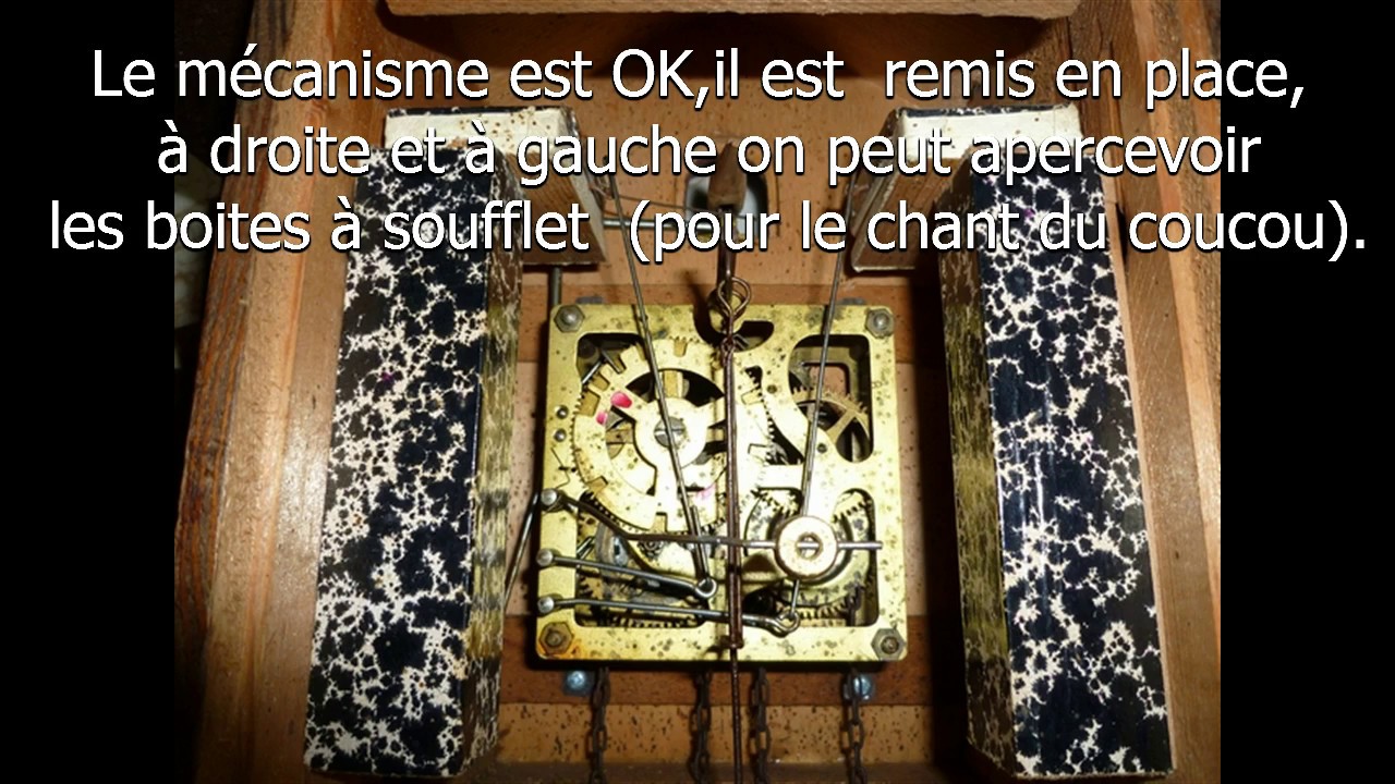 Restauration coucou de forêt noire