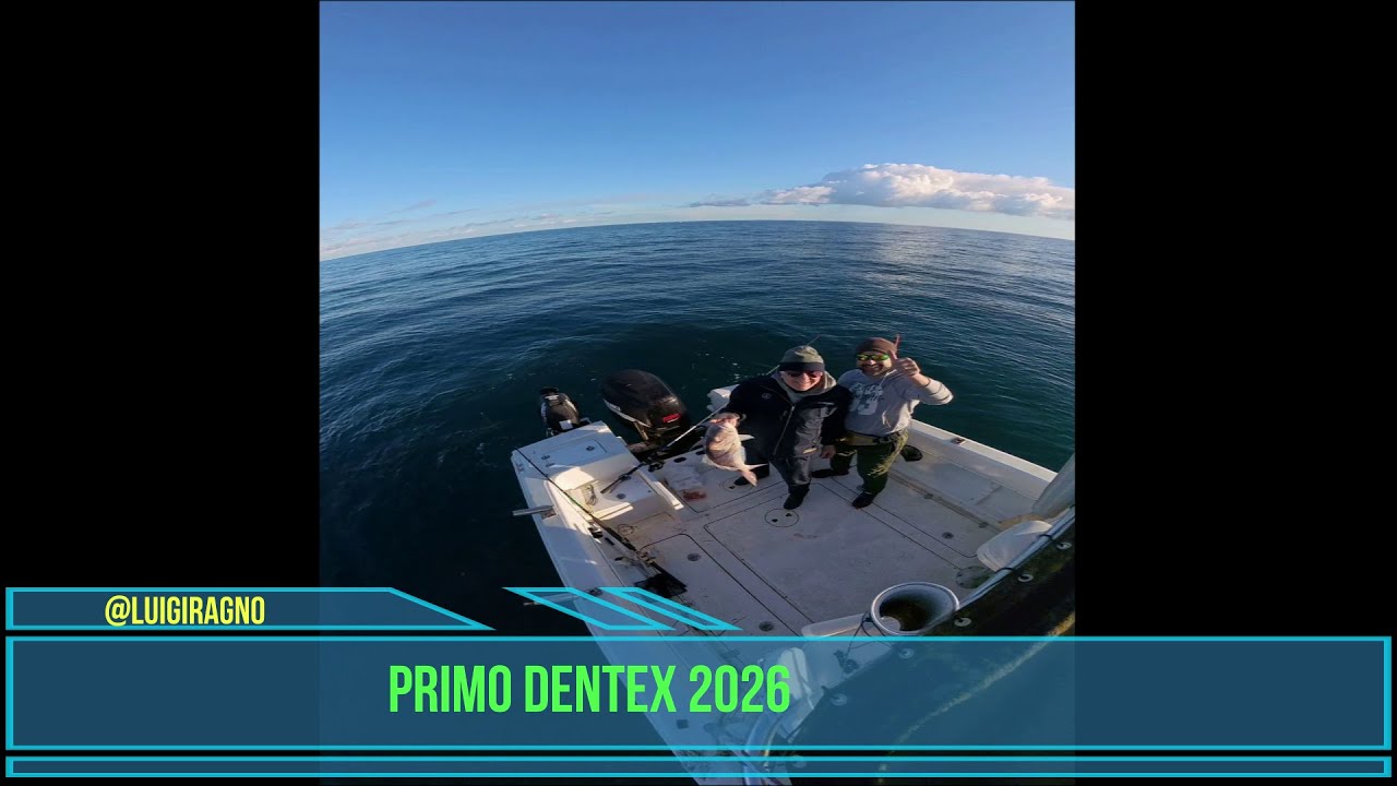 PRIMO DENTEX 2026