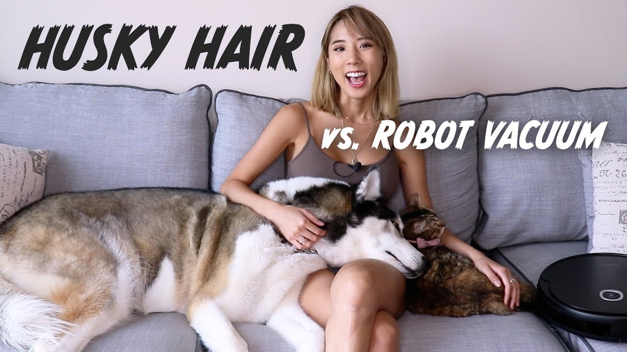 Testing out DOG HAIR vs. ROBOT VACUUM: ECOVACS DEEBOT U2 PRO