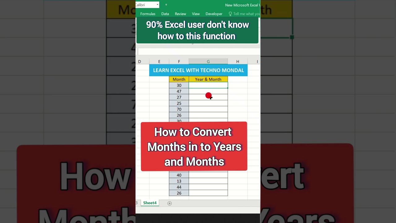 Excel Pro Trick.How to Convert Months in to Years and Months